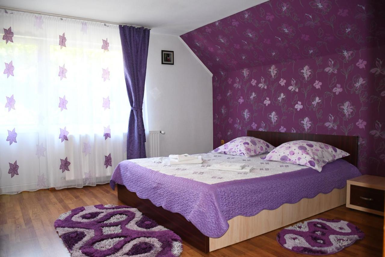 Simona Pensiune 3*